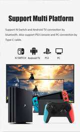 N-Switch Bluetooth Controller, Standard Version Wireless Gamepad